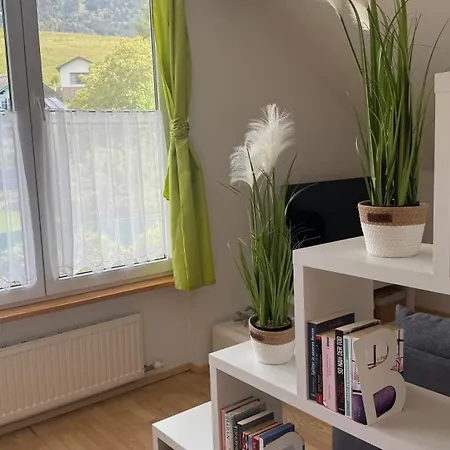 Familienoase Mit Garten - 5 Gehminuten Zum Millstaetter